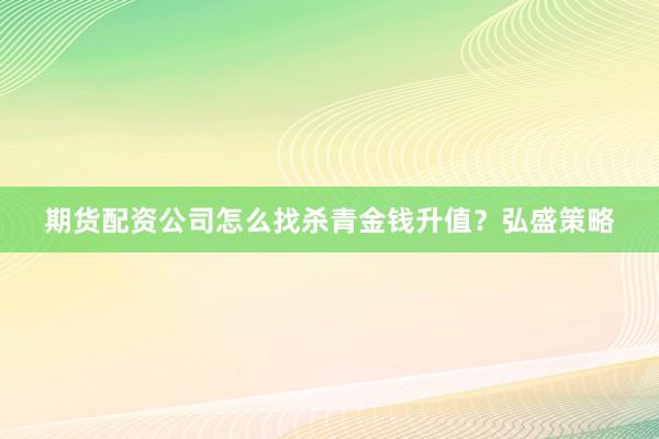 期货配资公司怎么找杀青金钱升值？弘盛策略