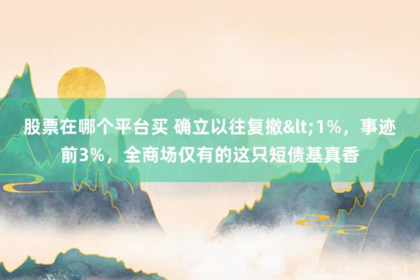 股票在哪个平台买 确立以往复撤&lt;1%，事迹前3%，全商场仅有的这只短债基真香