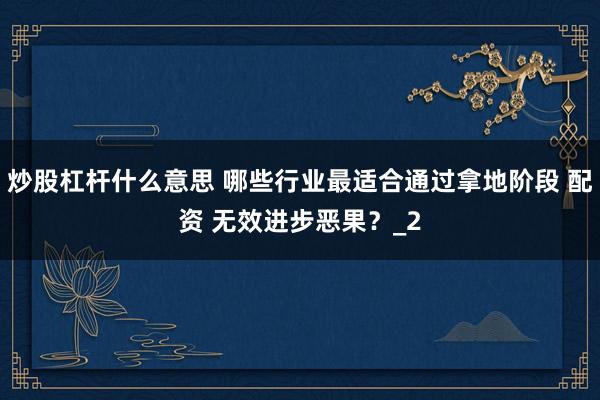 炒股杠杆什么意思 哪些行业最适合通过拿地阶段 配资 无效进步恶果？_2